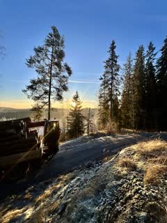 Kuljetus A. Taponen Oy:n kalusto metsä-alueella, pienkuva